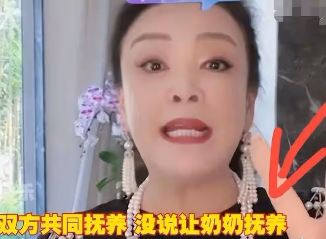 汪小菲接孩子回北京受阻,大S提出新條件, 張蘭發聲絕不妥協