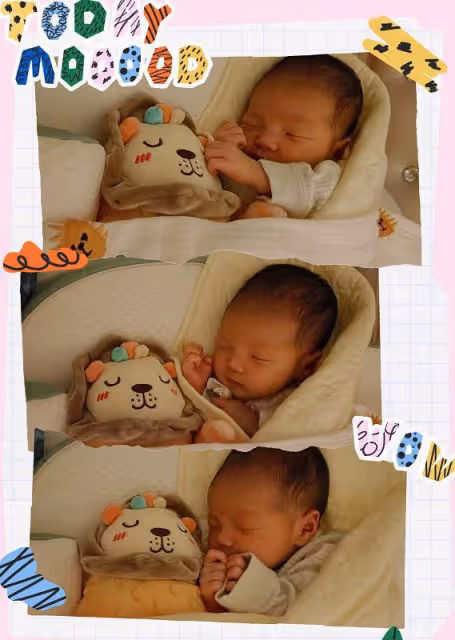 張恆遠畢夏結婚照公開,1歲的兒子乖巧可愛,還不明白父親已離世