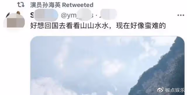66歲孫海英稱想回國!此前曾詆毀同胞,在美靠撿垃圾年入400萬