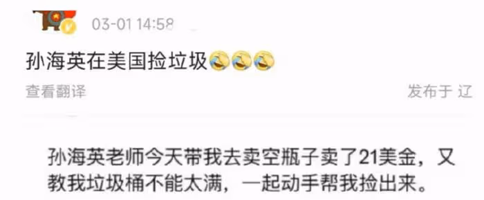 66歲孫海英稱想回國!此前曾詆毀同胞,在美靠撿垃圾年入400萬