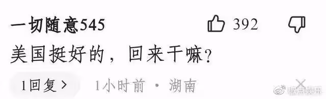 66歲孫海英稱想回國!此前曾詆毀同胞,在美靠撿垃圾年入400萬