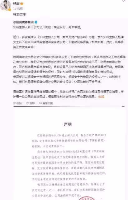 楊瀾名下公司百萬財產被凍結,本人回應「不實」,網友質疑聲不斷