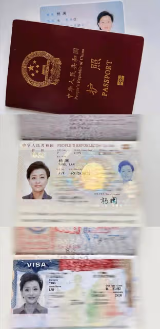 楊瀾名下公司百萬財產被凍結，本人回應「不實」，網友質疑聲不斷