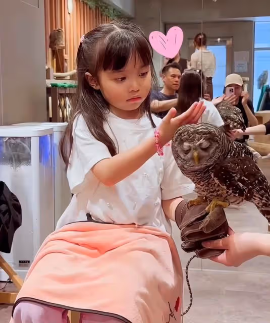 熊黛林曬祖孫三代出遊，婆媳罕見同框，5歲雙胞胎女兒越長越像