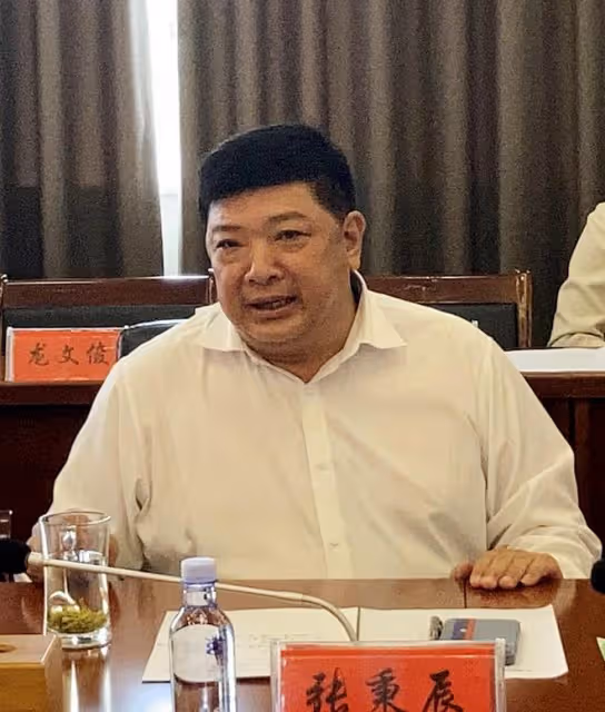 中國國際文化傳播中心執行主席龍宇翔到常德考察調研