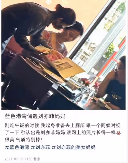 劉亦菲媽媽與異性吃飯被拍!氣質出塵好驚艷,2度離婚後單身多年