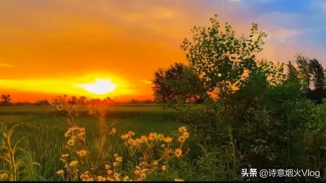 67歲阿姨自述:老伴走了才明白,餘生,錢才是我唯一的靠山