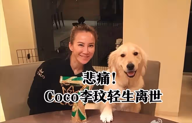 突發!Coco李玟在家中輕生,搶救3日後離世,3個原因讓她精神崩潰