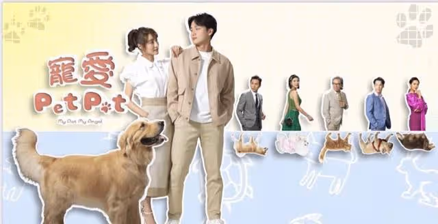又一部TVB新劇定檔!視後為情所困,與力捧小生譜出姐弟戀