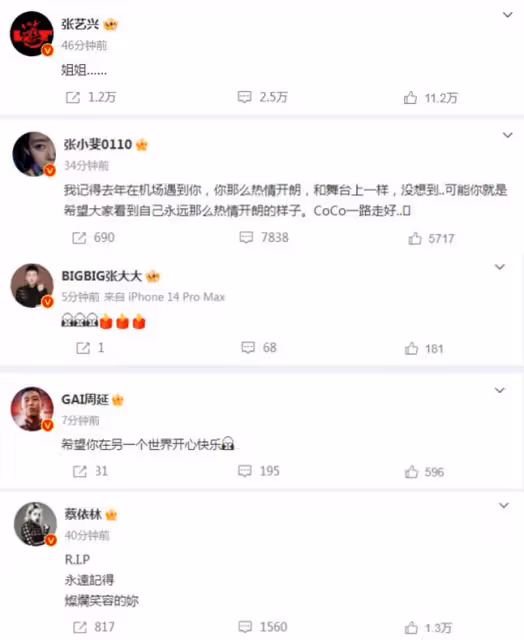 李玟去世令圈內好友惋惜,韓紅不願接受事實,悲痛發文:你沒走
