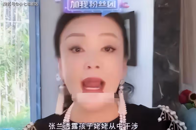 汪小菲接娃回京失敗,情緒低落狀態不佳,張蘭稱S家要價6000萬