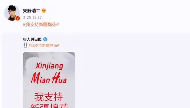 這一回，終於看清「中國女婿」矢野浩二，到底值不值得信任了？