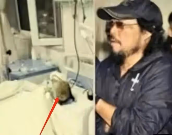 黃安針對費玉清被傳病危事件發聲，怒曝真相：小哥絕對沒有私生子