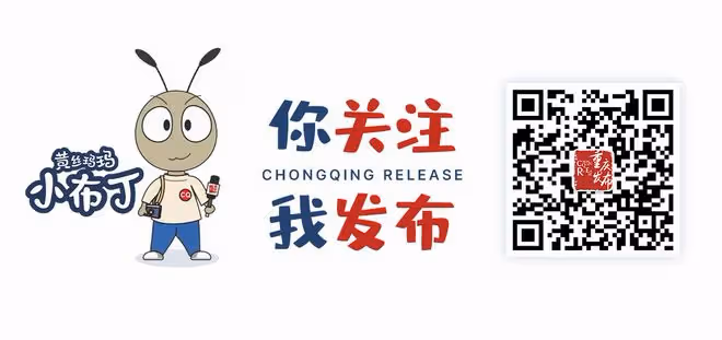 市委發布會丨解讀市委六屆三次全會精神,熱點問答來了!