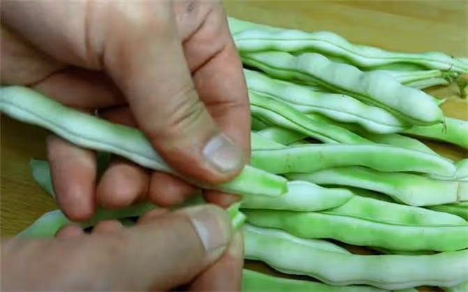 芸豆燉土豆這樣做才最好吃,簡單幾步,燉出來比肉還香