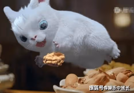 《玉骨遙》時影為什麼會變成小動物？《玉骨遙》時影又是誰的兒子？