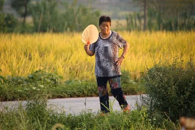 老伴大病一場後才明白:父母和子女,最終不過是陌生人