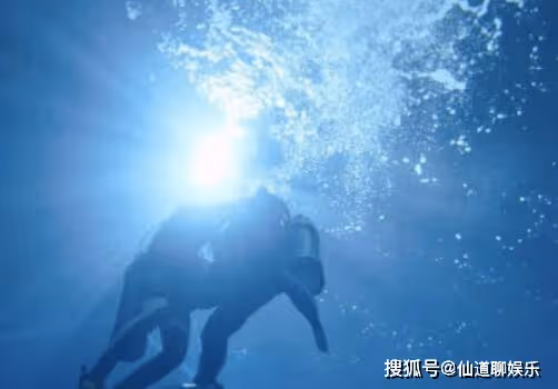 《消失的她》主題曲《籠》是誰寫的?《籠》被質疑抄襲《易燃易爆炸》