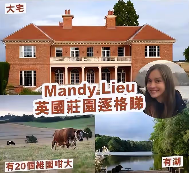洗米華迎壞消息,36個不動產被變賣,情人劉碧麗3億莊園疑被牽連