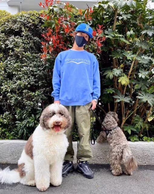 51歲工藤靜香凹陷臉頰變飽滿，有肉感甜美升級，毛衣圖案引爭議