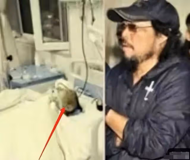 67歲費玉清頻頻被曝病危,私生子現身爭財產,黃安氣憤回應曝真相