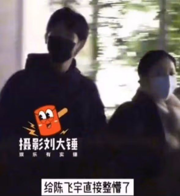 陳飛宇陪媽媽逛街,54歲陳紅近照年輕氣質出眾,母子同框似姐弟