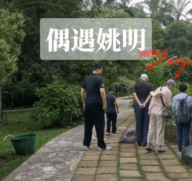 姚明:帶一家五口現身雲南植物園,可謂是家庭集體出遊,比較少見