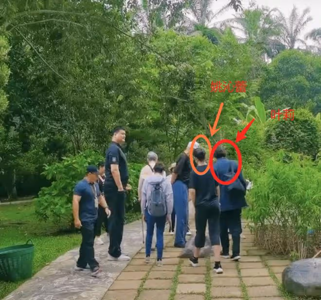 姚明:帶一家五口現身雲南植物園,可謂是家庭集體出遊,比較少見