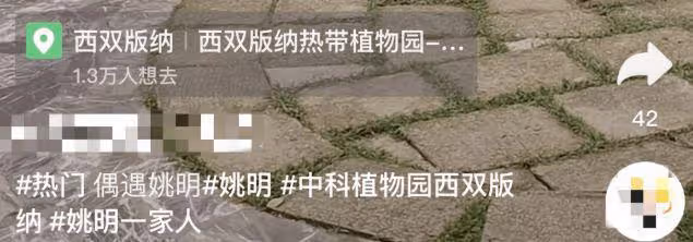 姚明一家現身雲南旅遊，13歲姚沁蕾身高超媽媽，住千元酒店好闊氣
