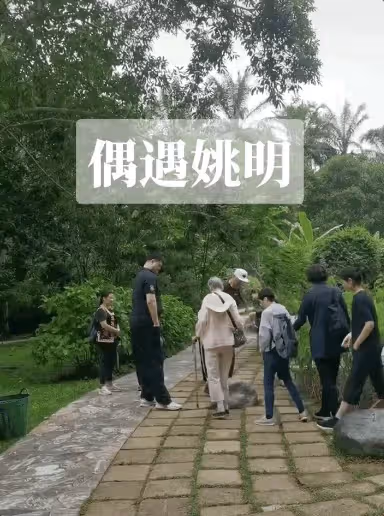 姚明一家5口游公園,身型佝僂令人擔憂,13歲女兒身高引熱議