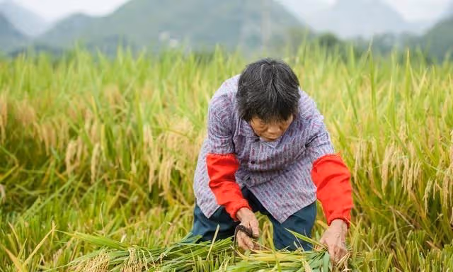 我58歲,給小兒媳帶孩子,每月工資2000元,大兒媳勃然大怒