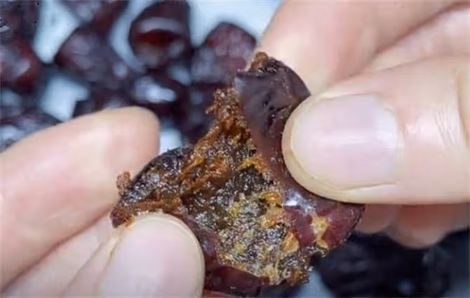 紅棗不要直接吃了，像我這樣三蒸三晾，補血賽阿膠，營養更健康