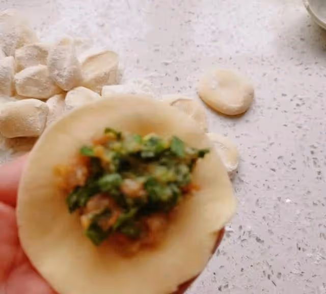 豬肉韭菜餡餃子，好吃不過餃子，鮮香味美~