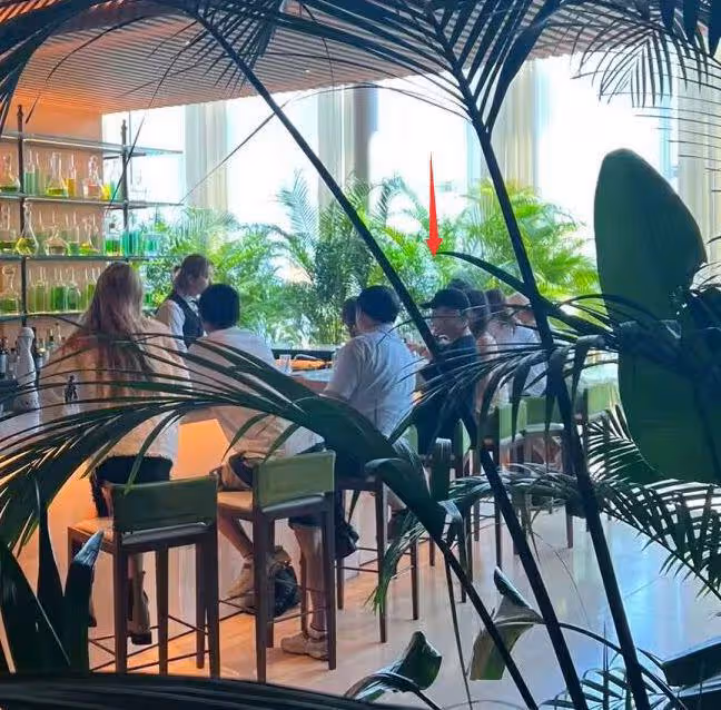 何猷君何超欣日本度假，入住酒店超五千元，頻繁與妹妹出遊惹爭議