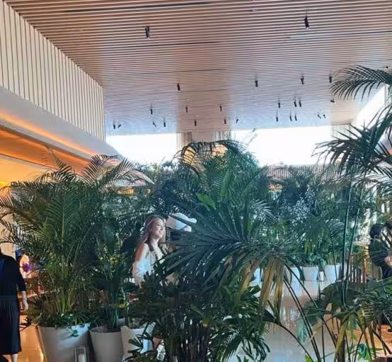 何猷君何超欣日本度假，入住酒店超五千元，頻繁與妹妹出遊惹爭議