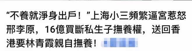 林青霞老公被三逼宮，竟花16億買斷撫養權，私生子將交予妻子撫養