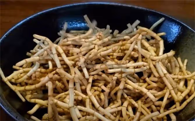 涼拌折耳根最正確做法,清涼解膩,脆口彈牙,比大魚大肉都解饞