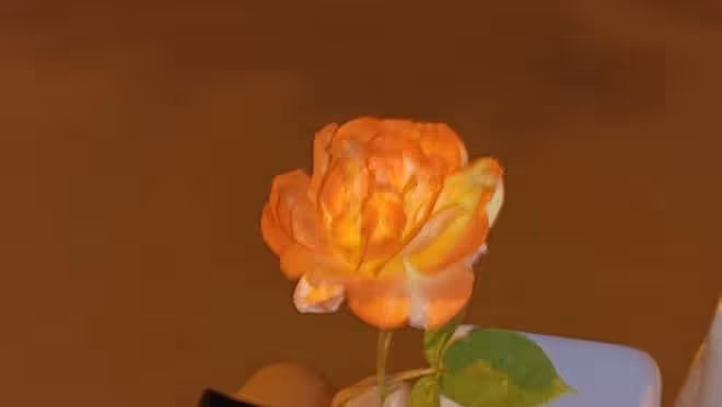 無意間撞破婆婆的醜事，她開始變著法地找我的茬，我們只好搬家了