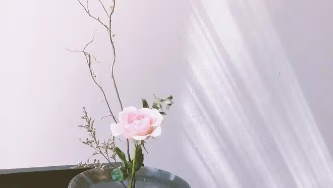 婆婆一心只想留住心愛的小兒媳，各種算計，卻讓兩個兒子都離了婚