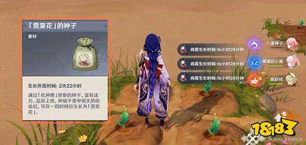原神霓裳花在哪採集 霓裳花所有採集點分享