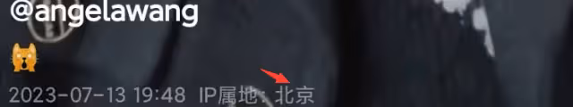 13歲王詩齡曬暑假日常,坐百萬豪車戴4萬項鍊,小鬍子太重引熱議