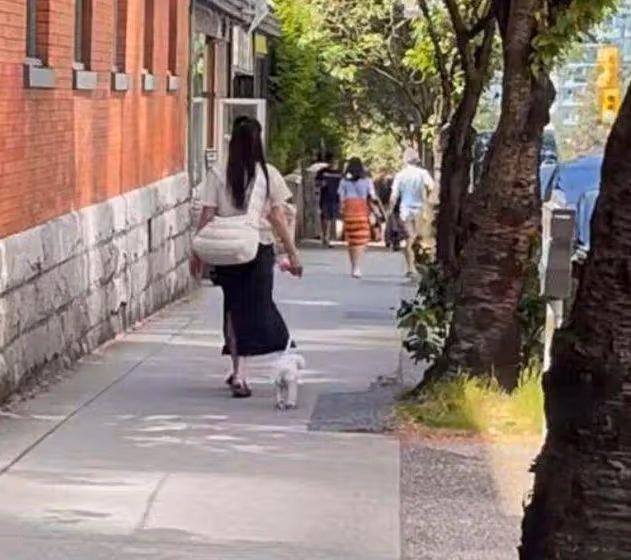 多倫多超市偶遇王祖賢,獨自一人買菜好低調,拒絕粉絲合影惹爭議