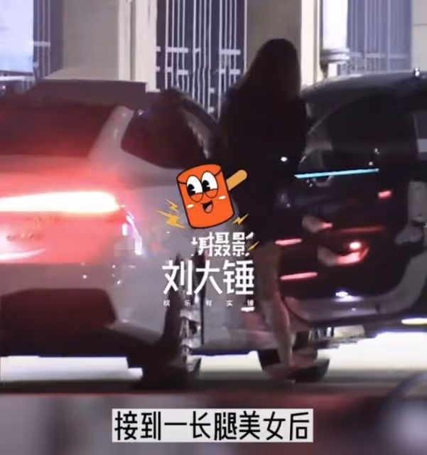 天道輪迴?王鷗遭男友背叛,何九華出軌與美女車內擁吻密會3小時