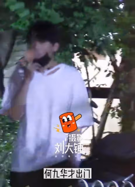天道輪迴?王鷗遭男友背叛,何九華出軌與美女車內擁吻密會3小時