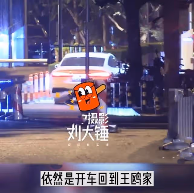 天道輪迴?王鷗遭男友背叛,何九華出軌與美女車內擁吻密會3小時
