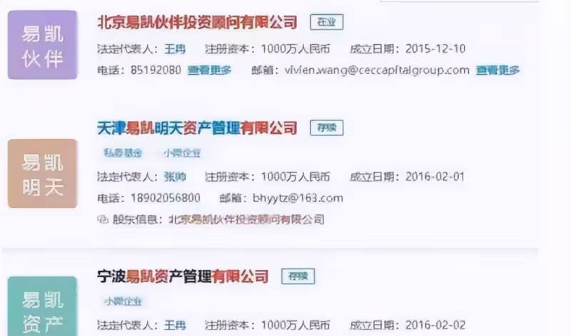 童瑤丈夫王冉:哈弗畢業,娶小17歲嬌妻,身家數億為妻子鋪路