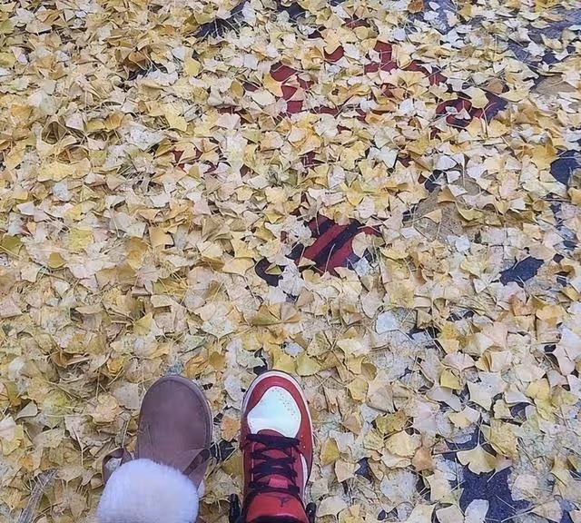 從默默無聞到堅實陪伴,任嘉倫與聶歡的心靈奇遇