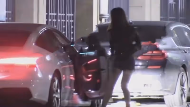 天道輪迴？王鷗遭男友背叛，何九華出軌與美女擁吻，車內密會3小時