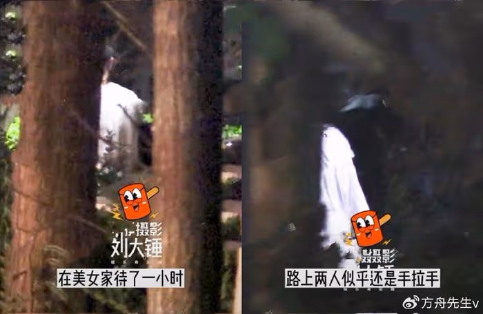 天道輪迴?王鷗遭男友背叛,何九華出軌與美女擁吻,車內密會3小時