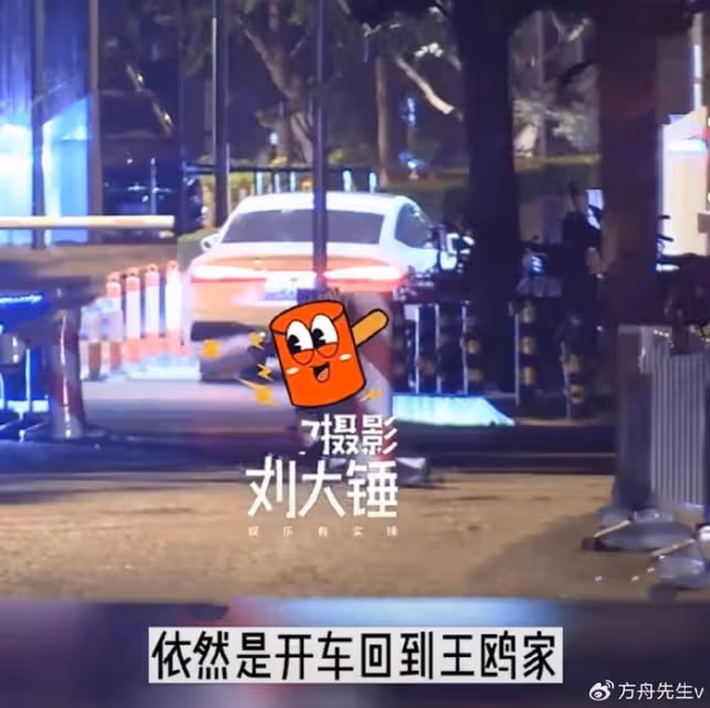 天道輪迴?王鷗遭男友背叛,何九華出軌與美女擁吻,車內密會3小時